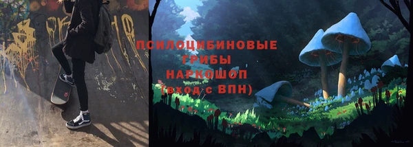 спайс Алзамай