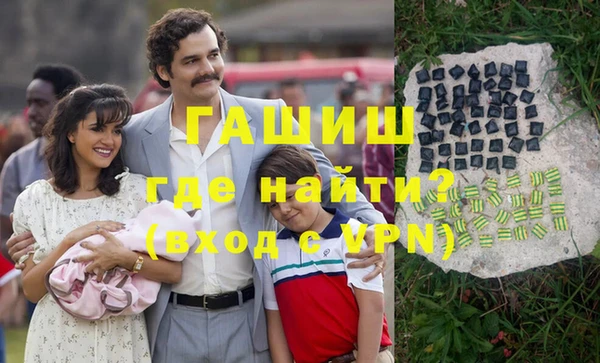 индика Алексин