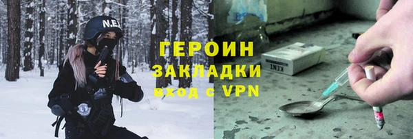 индика Алексин