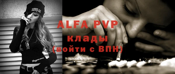 шишки Магас