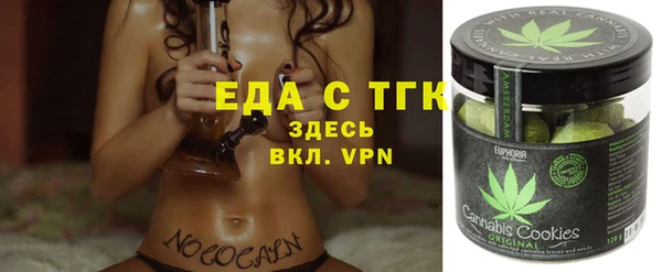 индика Алексин