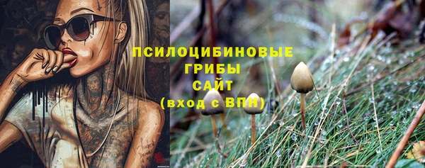эйфоретик Алексеевка