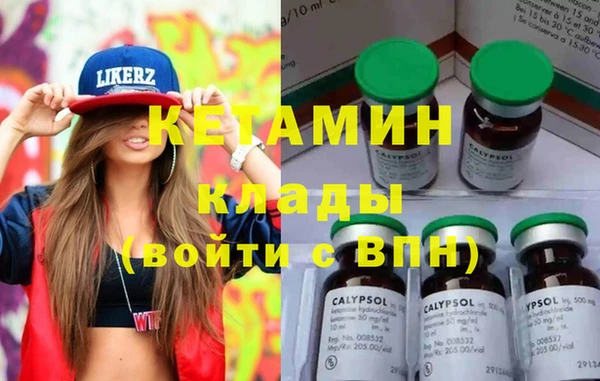 индика Алексин