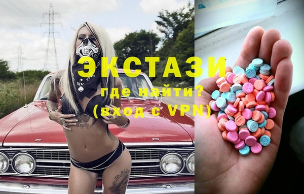 индика Алексин
