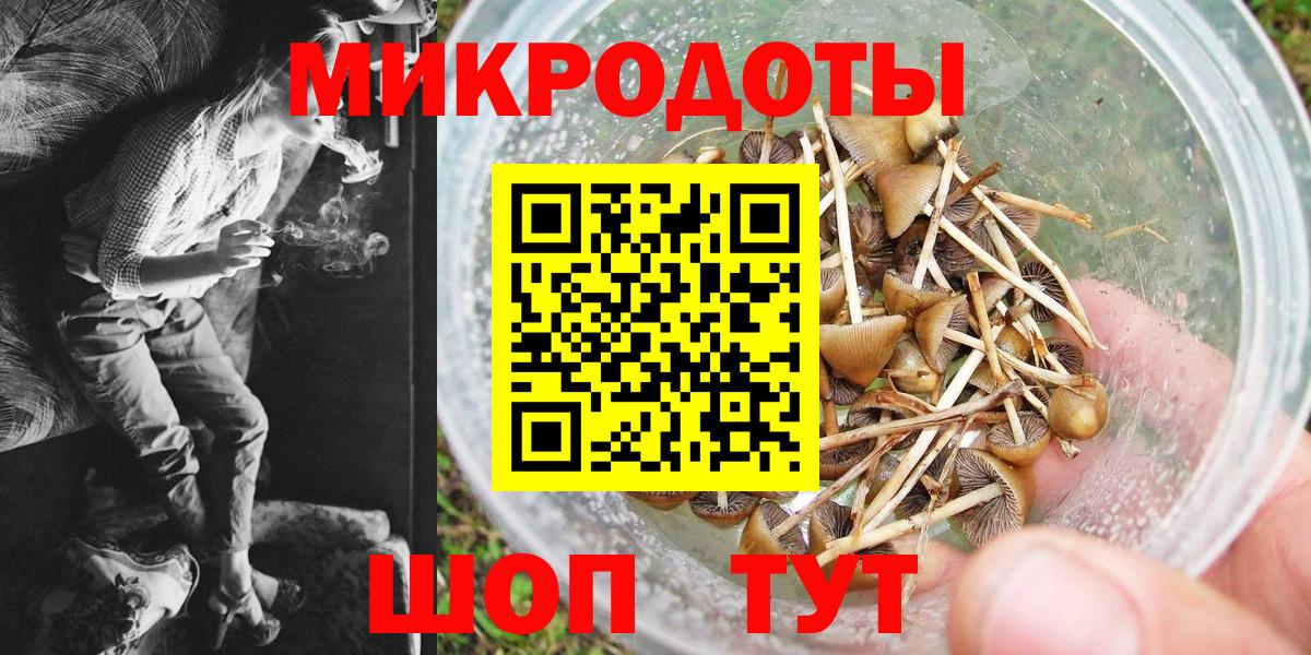 Псилоцибиновые грибы мухоморы Ачинск