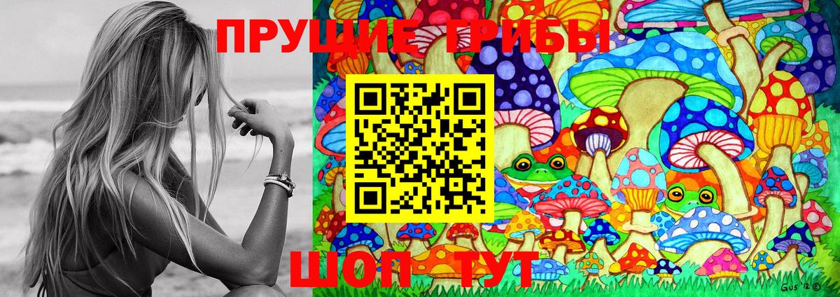 Псилоцибиновые грибы Cubensis  Псилоцибиновые грибы MAGIC MUSHROOMS  Вход с VPN  Ачинск 